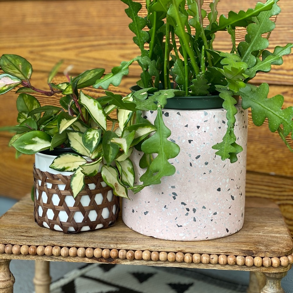 New!!! Terrazo Planter Pot in Pink
